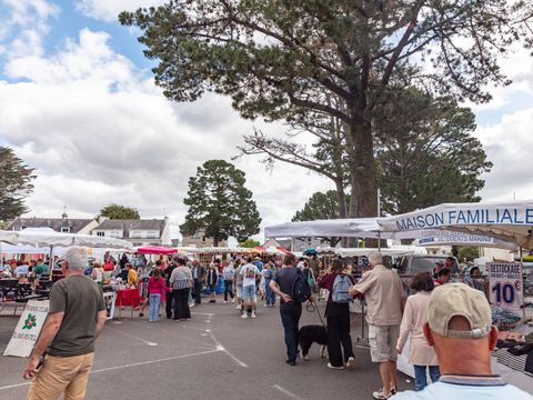 Camping Port de Plaisance  - Camping Finistère - Image N°15