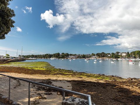 Camping Port de Plaisance  - Camping Finistère - Image N°23
