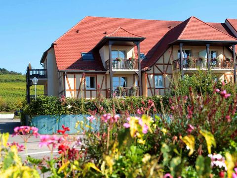 Résidence Odalys Référence Le Domaine des Rois - Camping Haut-Rhin - Image N°8