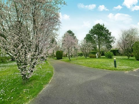 Resort & Camping - Val de Braye - Camping Sarthe - Image N°15