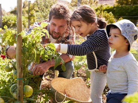 Camping Le Capanne - Camping Livourne - Image N°35