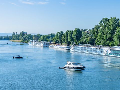 Camping L'Île du Rhin - Camping Haut-Rhin - Image N°3