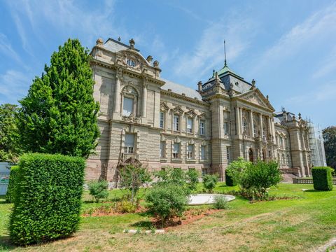 Camping L'Île du Rhin - Camping Haut-Rhin - Image N°14