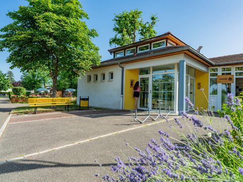 Camping L'Île du Rhin - Camping Haut-Rhin - Image N°5
