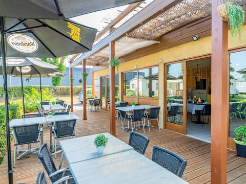 Camping L'Île du Rhin - Camping Haut-Rhin - Image N°10