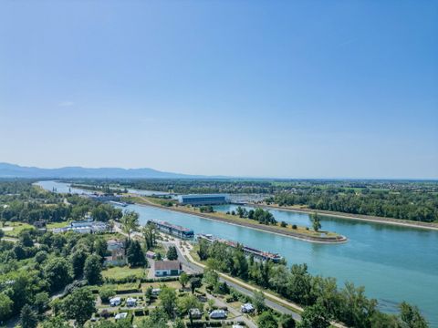 Camping L'Île du Rhin - Camping Haut-Rhin - Image N°2
