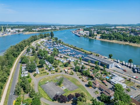 Camping L'Île du Rhin - Camping Haut-Rhin
