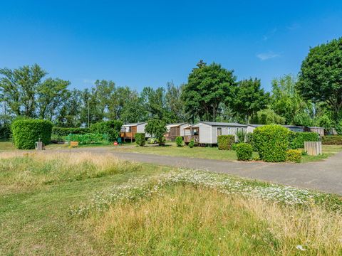 Camping L'Île du Rhin - Camping Haut-Rhin - Image N°21