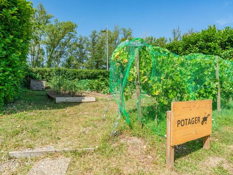 Camping L'Île du Rhin - Camping Haut-Rhin - Image N°13