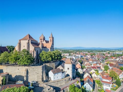 Camping L'Île du Rhin - Camping Haut-Rhin - Image N°21