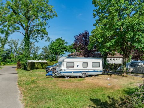 Camping L'Île du Rhin - Camping Haut-Rhin - Image N°4