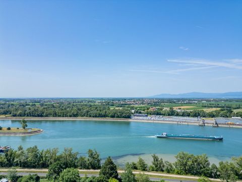 Camping L'Île du Rhin - Camping Haut-Rhin - Image N°16