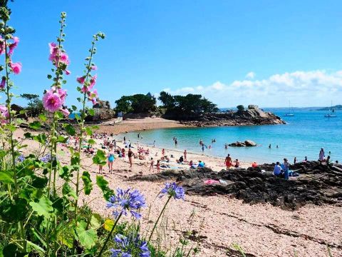Camping Le Panoramic - Camping Côtes-d'Armor - Image N°37