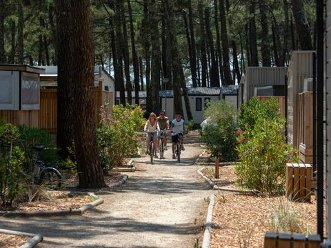 Camping Club Le Vivier 4* - MS VACANCES - Camping Landes - Image N°47
