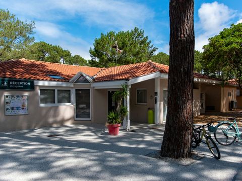 Camping Campéole Le Vivier - Camping Landes - Image N°8
