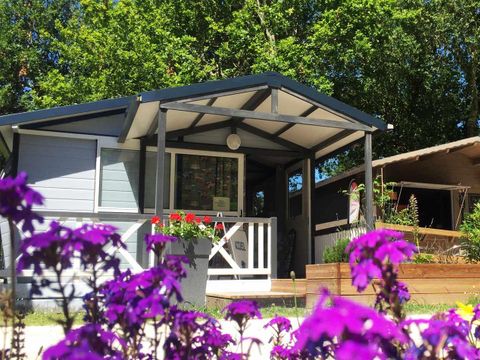 Camping En Chon Les Pins - Camping Landes - Image N°36