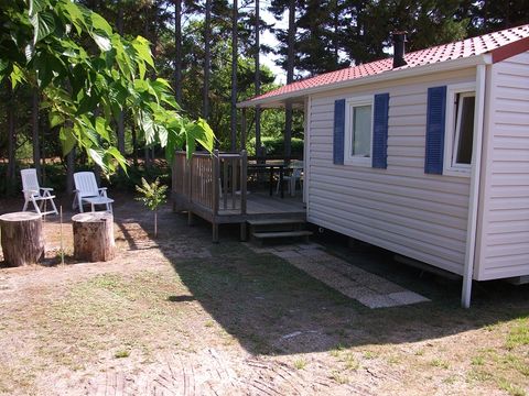 Camping En Chon Les Pins - Camping Landes - Image N°30