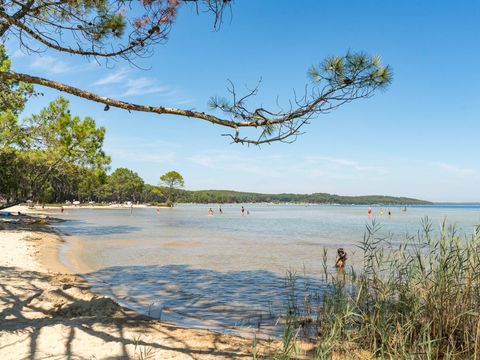 Slow Village Biscarrosse Lac  - Camping Landes - Image N°20