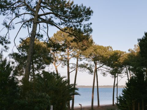 Slow Village Biscarrosse Lac  - Camping Landes - Image N°2