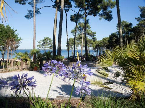 Slow Village Biscarrosse Lac  - Camping Landes - Image N°13