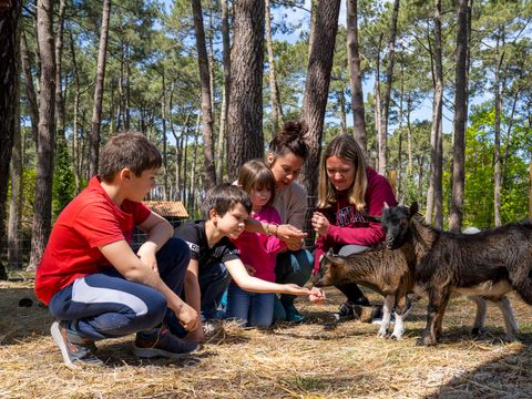 Slow Village Biscarrosse Lac  - Camping Landes - Image N°71