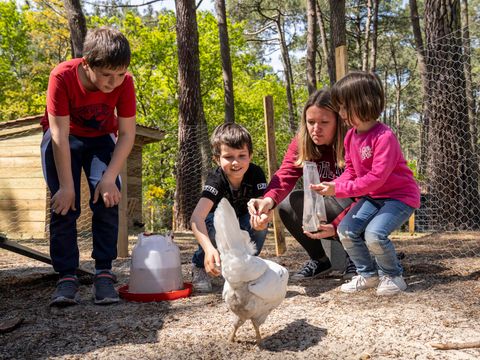 Slow Village Biscarrosse Lac  - Camping Landes - Image N°28