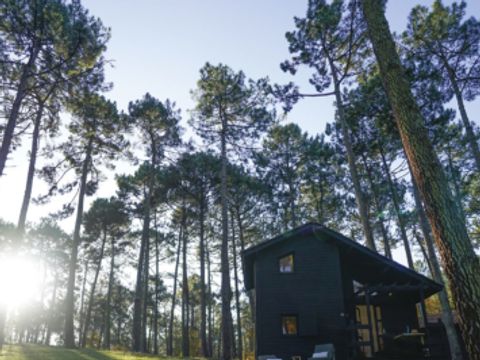 Slow Village Biscarrosse Lac  - Camping Landes - Image N°5