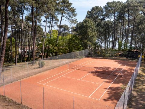 Slow Village Biscarrosse Lac  - Camping Landes - Image N°25