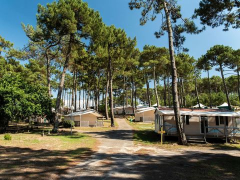 MOBILHOME 6 personnes - Cottage Venezia Confort 3 chambres 6 personnes
