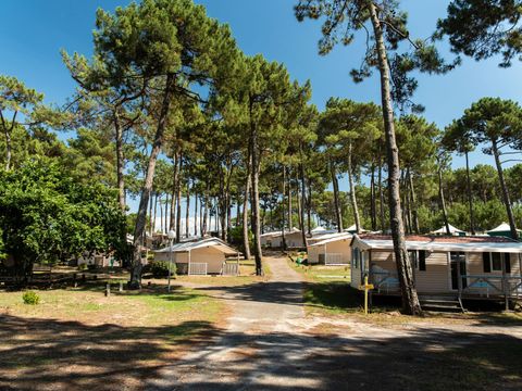 Camping Club Plage Sud 4*- MS VACANCES - Camping Landes - Image N°39