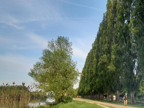 Camping La Gatine - Camping Indre-et-Loire - Image N°10
