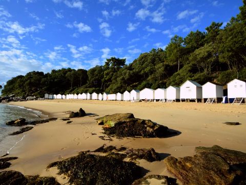 Camping maeva Escapades le Bois Joli - Camping Vendée - Image N°37