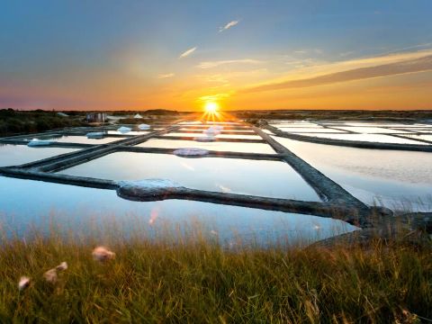 Camping maeva Escapades le Bois Joli - Camping Vendée - Image N°38