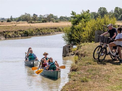 Camping maeva Escapades le Bois Joli - Camping Vendée - Image N°32