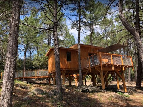 Hébergement 4 personnes - CABANE PERCHEE ROBINSON 2 chambres sans sanitaires