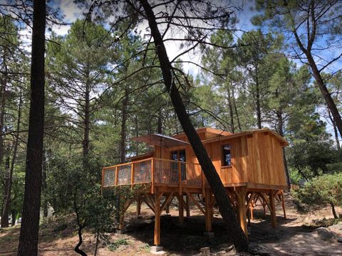 Hébergement 4 personnes - CABANE PERCHEE ROBINSON 2 chambres sans sanitaires