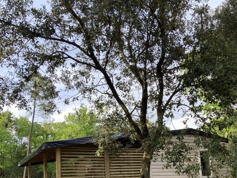 MOBILHOME 4 personnes -  PREMIUM MONTSEREIN Climatisé- 2 chambres+ lave-vaisselle + TV  (2 adultes max+2 enfants)