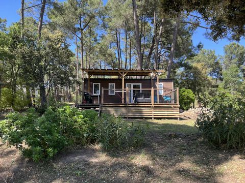 MOBILHOME 6 personnes - PREMIUM MONTMIRAIL Climatisé- 3 chambres + lave-vaisselle + TV (4 adultes max+2 enfants)