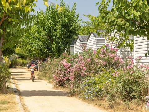 Alannia El Pinar - Camping Gérone - Image N°8