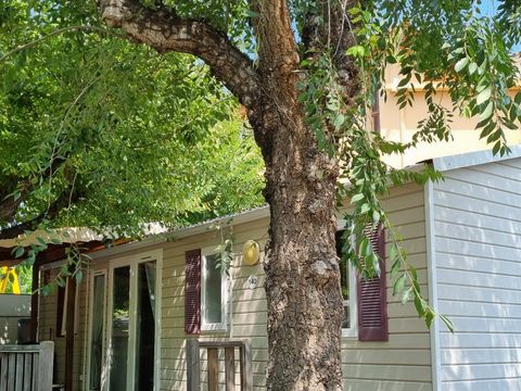 MOBILHOME 6 personnes - Mobil-home 3 chambres