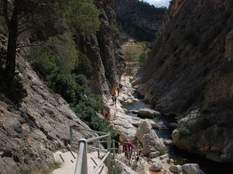 Camping Terra Alta - Camping Tarragone - Image N°28