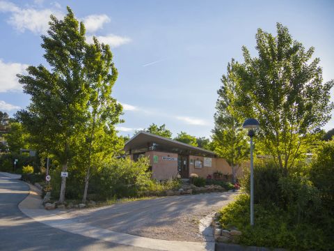 Camping Terra Alta - Camping Tarragone - Image N°5