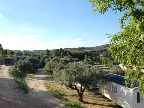 Camping Terra Alta - Camping Tarragone - Image N°3