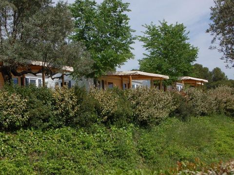 Camping Terra Alta - Camping Tarragone - Image N°10