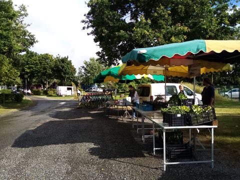 Camping du Bourbon-Lancy - Camping Saône-et-Loire - Image N°26