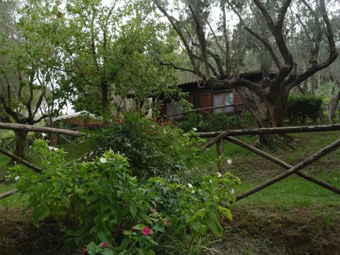 CHALET 4 personnes - CHALET 4 personnes