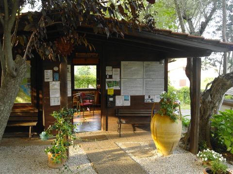 Azzurro Camping Village - Camping Rome - Image N°7