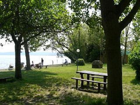 Azzurro Camping Village - Camping Rome - Image N°24