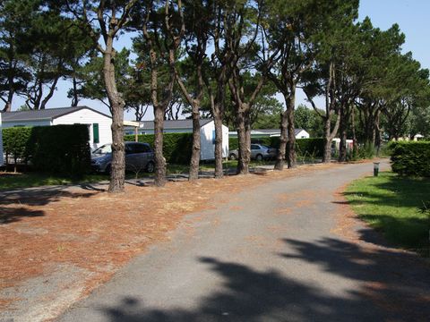 Camping  l'Ocean  - Camping Vendée - Image N°58
