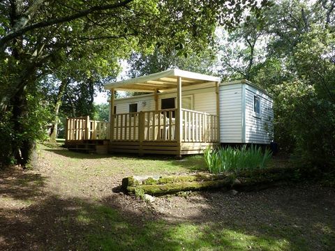 MOBILHOME 6 personnes - IRM 2 chambres 28m2